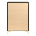 thumbnail image 3 of Lif 50 Inch Modern 5 Drawer Tall Dresser Chest, Gold Accents, Smooth Black, 3 of 5