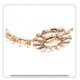 thumbnail image 3 of Diadema con flores y diamantes de imitación para mujer, elegante, para fiestas y festivales, 3 of 6