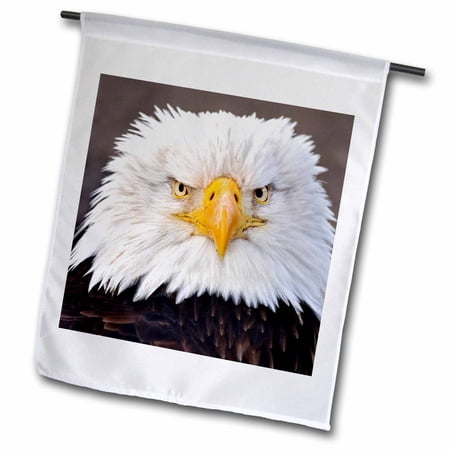 3dRose, Bald Eagles, Homer, Alaska - US02 AJE0019 - Adam Jones, 12 x 18 inch Garden Flag