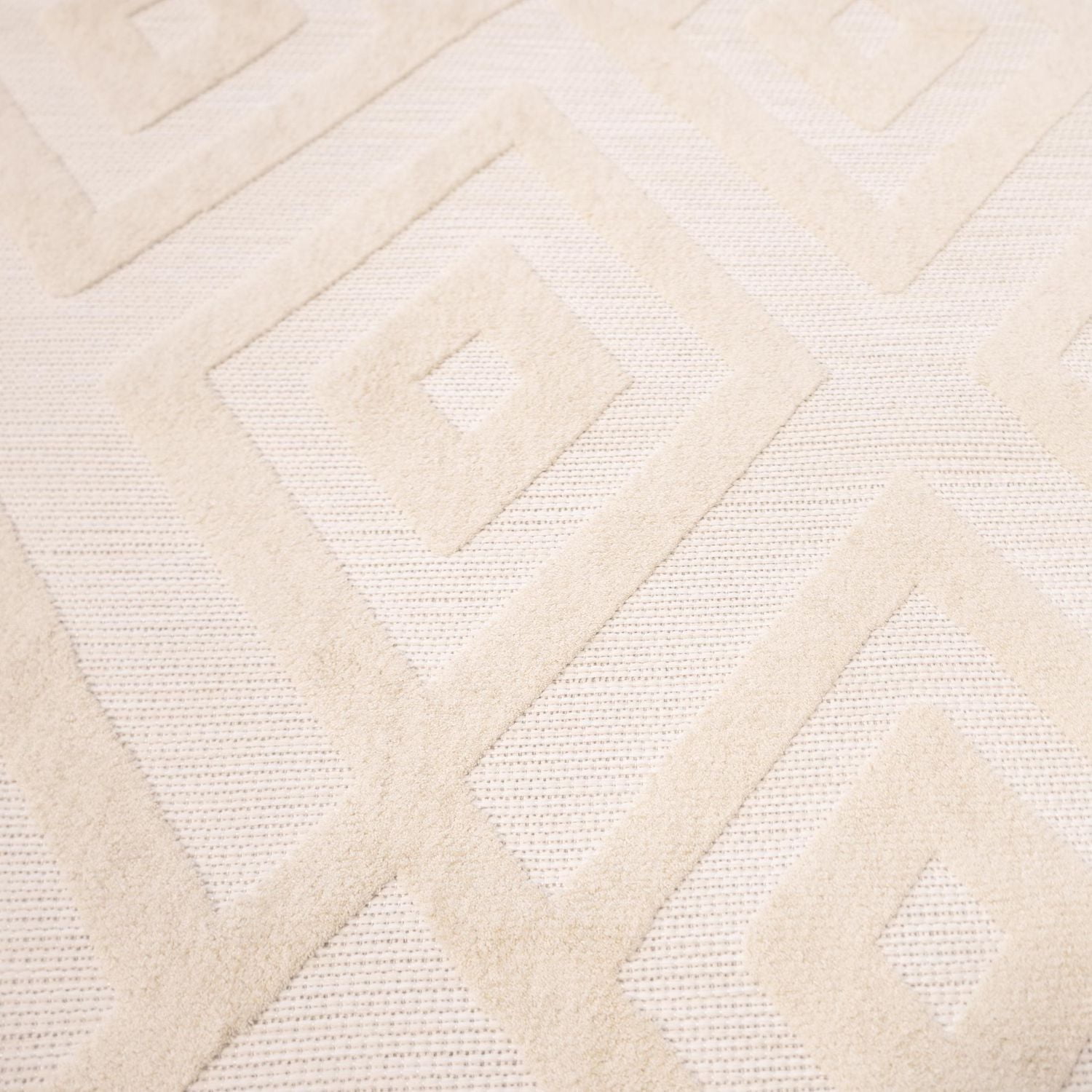 Indoor Rug