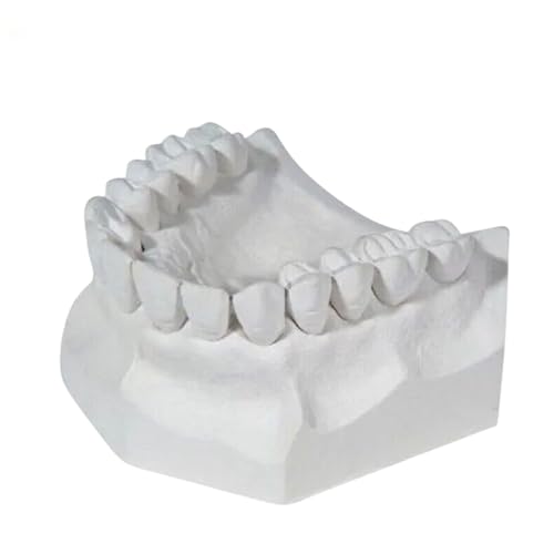 3 LB - White Dental Lab Plaster for Dental Cast Fabrication, Dental Study Model, Casting Replicas -3 lb. Dental Plaster White Type II Regular Set Model Stones Used in Dental Lab, A