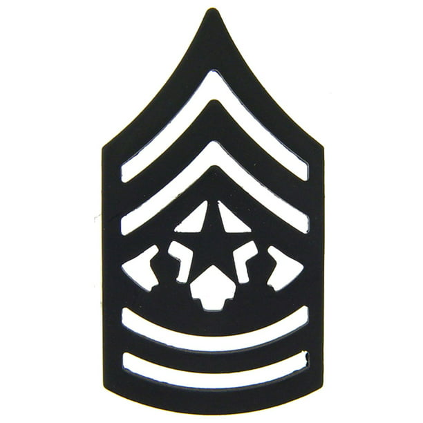 FindingKing - U.S. Army E9 Command Sergeant Major Pin Subdued 1 ...