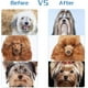thumbnail image 5 of Cepillo para perros y gatos, cepillo autolimpiante, cepillo para perros, cepillo para perros de pelo largo Afortunado Sencillez, 5 of 5