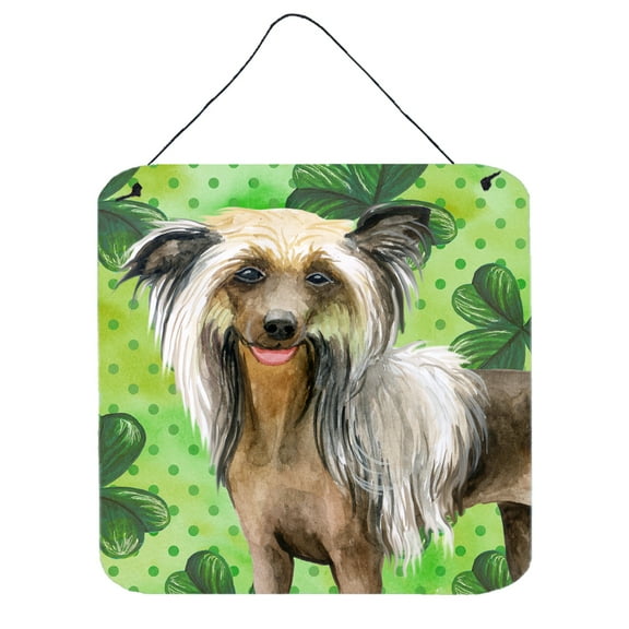 Carolines Treasures BB9833DS66 Chinese Crested St Patricks Wall or Door Hanging Prints Green 6HX6W multicolor