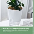 thumbnail image 4 of Toyvian Self-Watering Indoor Planter with Transparent Plastic Design, White, Simple Style, 1 Set for Easy Plant Care, 4 of 7