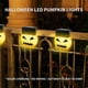 thumbnail image 3 of Luces solares para valla Foohvr decoración de paisaje de Halloween 1/3/5 Uds, 3 of 5