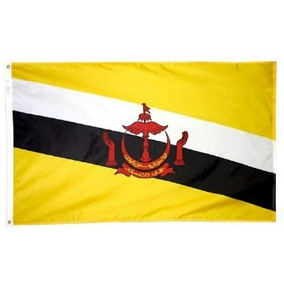 Annin Flagmakers 221303 3 ft. x 5 ft. Nyl-Glo Brunei Flag