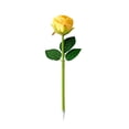 thumbnail image 2 of Tarmeek Creative Rose Bouquet Ballpoint Pen, Simulation Flower Pen for Daily Writing, Novelty Gift Pen for Birthday Party Decor, Decorative Blue Ink Pen, 25.5cm Plastic Lightweight, 2 of 9