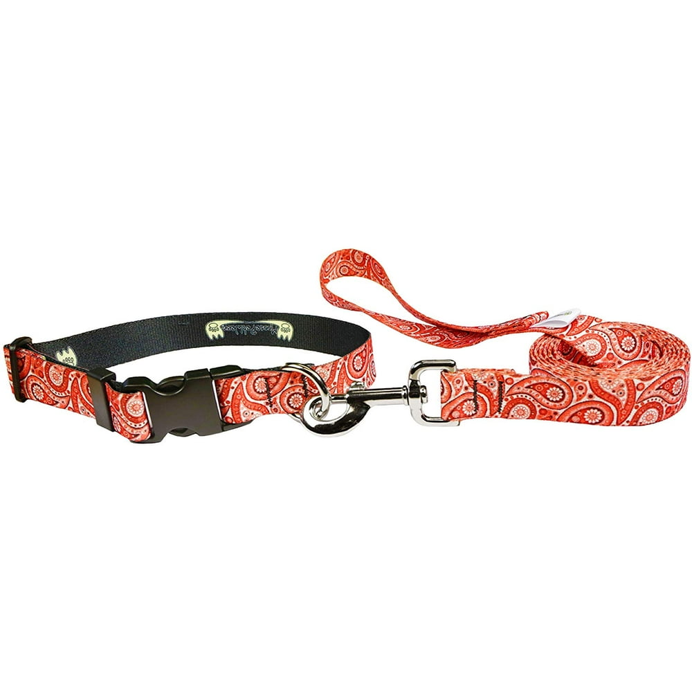 Dog Collar Leash Set Paisley Matching Dog Collar and Lead, Made in