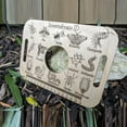thumbnail image 5 of Jindong BugIdentification Ruler InterestingInsect Encyclopedia BugObservation Ruler Wood Products Cultivate Children's Observation Ability and Interest In Exploring Nature, 5 of 5