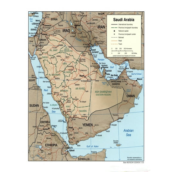 Palmetto Posters 22x29 Laminated Poster: Large detailed political and administrative map of saudi arabia with relief roads railroads and major cities