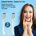 thumbnail image 5 of Toothbrush Replacement Heads Compatible with Philips Sonicare Diamond Clean-8 Pack with 2 Tongue Scrapers to Eliminate Bad Breath, 5 of 6