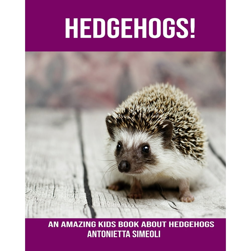 Hedgehogs! An Amazing kids Book About Hedgehogs (Paperback) Walmart