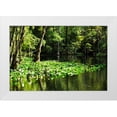 thumbnail image 3 of Alan Hausenflock 18x13 White Modern Wood Framed Wall Art Titled - Water Lilies II, 3 of 5