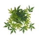 thumbnail image 1 of es flexibles Vine Green Jungle Climber Vines Suministros para es para mascotas Terrario - 30CM jinwen  Reptiles Vine Jungle, 1 of 7