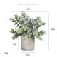 thumbnail image 1 of 1 paquete de plantas artificiales de eucalipto en macetas para decoración del hogar, romero verde sintético interior para estante de escritorio, centro de mesa de café, decoración de baño y, 1 of 5