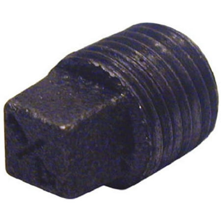 0.25' Black Pipe - B-PLG02 0.25 in. Black Pipe Plug
