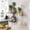 2Pcs Kitchen Storage Rack Under $5 a1, variant on Tusihei Kitchen Storage Rack, Multifunctional Double Layer No-Drill Onions Garlic Ginger Caddy with Hooks, Removable Hanging Storage Basket for Bathroom Kitchen