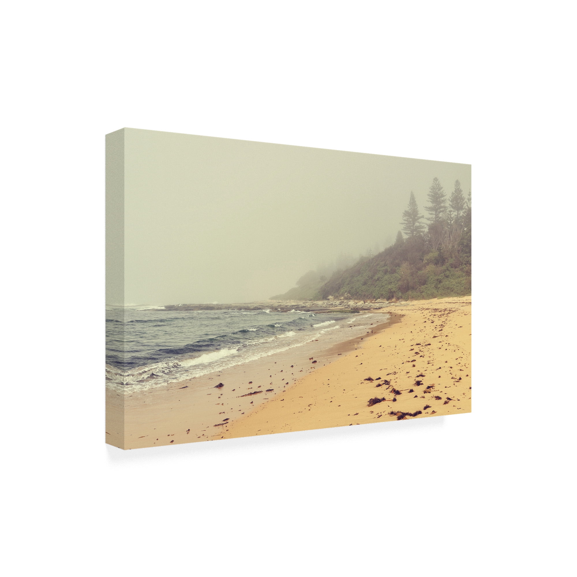 Trademark Fine Art 'BC Vintage Vibes at the Beach' Canvas Art by Beata Czyzowska Young