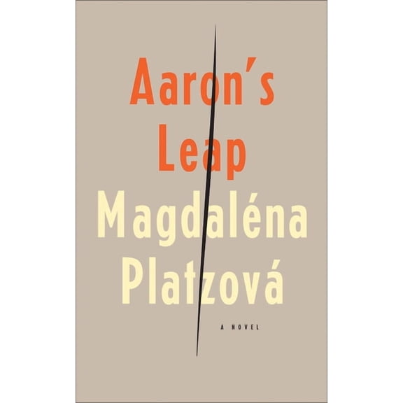 Aaron's Leap, (Paperback)