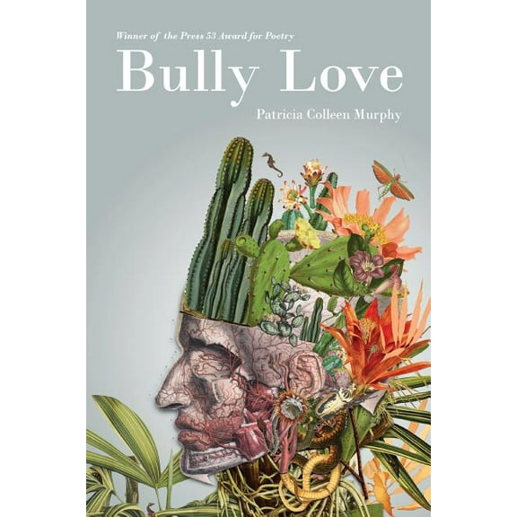 Bully Love (Paperback)