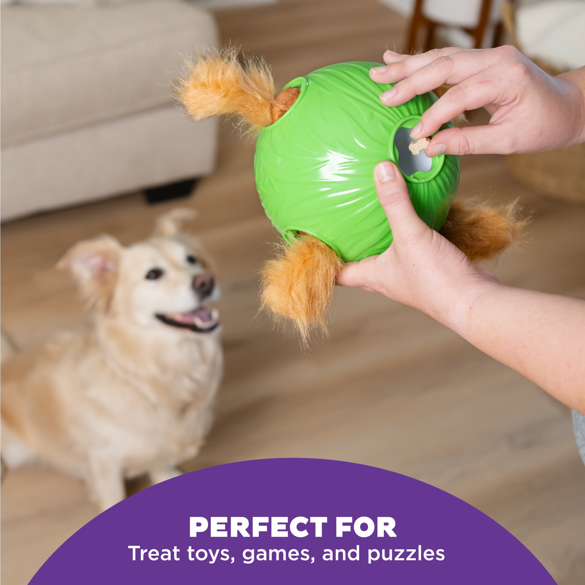 Outward Hound by Nina Ottosson Puzzle Bitez Training Treats for Dogs, Peanut Butter, 6oz
