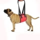 thumbnail image 2 of ZHAOCHENG El cabestrillo para perros para patas traseras ayuda a perros mayores con movilidad limitada, arnés de elevación para perros con soporte para perros, elevador para perros para artritis ROJO, 2 of 5