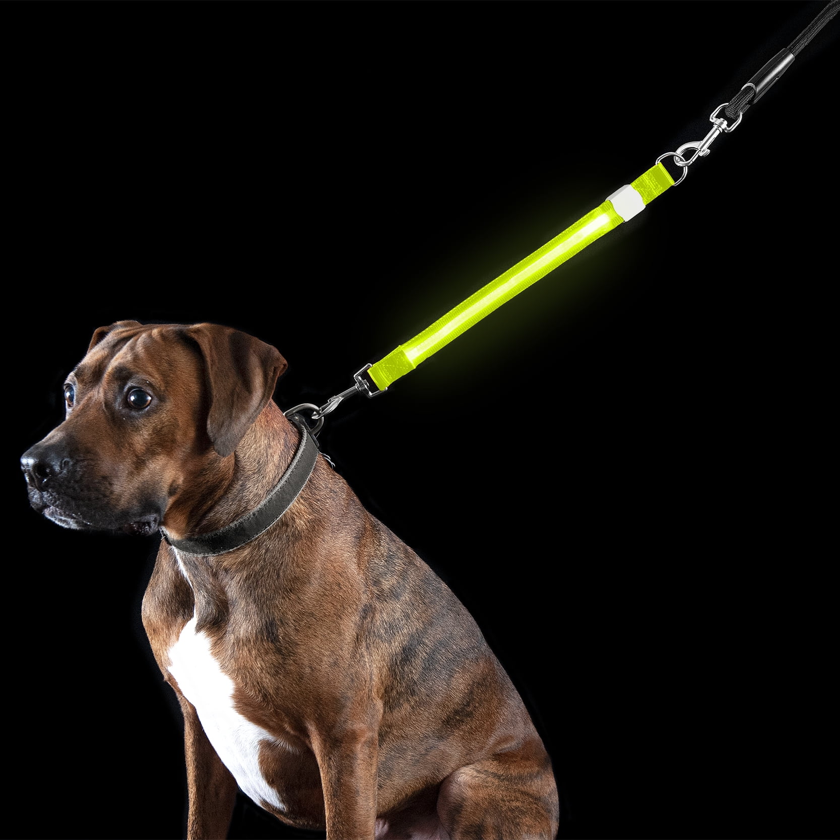 FurHaven Pet Dog Collar | Safety LED Light-Up Leash Extender, Green