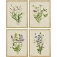 thumbnail image 2 of PixonSign&nbsp;Framed Wall Art, Watercolor Floral Botanical Posters, Set of 4 Rustic Farmhouse Wall Decor Wildflowers Prints, Minimalist Wall Décor for Living Room, Bedroom, Office - 12"x16" Natural, 2 of 5