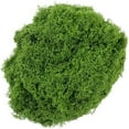 thumbnail image 2 of Nilvkv Simulated Moss Artificial Moss Green Plants Decorative Landscaping Potted Grass Pavement DIY Filamentous False Moss, Home Decoration, 2 of 6