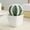B, variant on LKZQHMC Artificial Cactus Bonsai Small Simulated Potted Succulent Plant Decor, Mini Faux Cactus Table Ornament for Office and Home Indoor Decoration