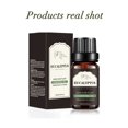 thumbnail image 1 of Fiudx Ofertas Relámpago Aceite Esencial De Jengibre Puro Natural, 10Ml, Para Drenaje, Masaje, Hinchazón, Alivio Del Dolor Y Alivio Del Aceite De Jengibre, 1 of 3