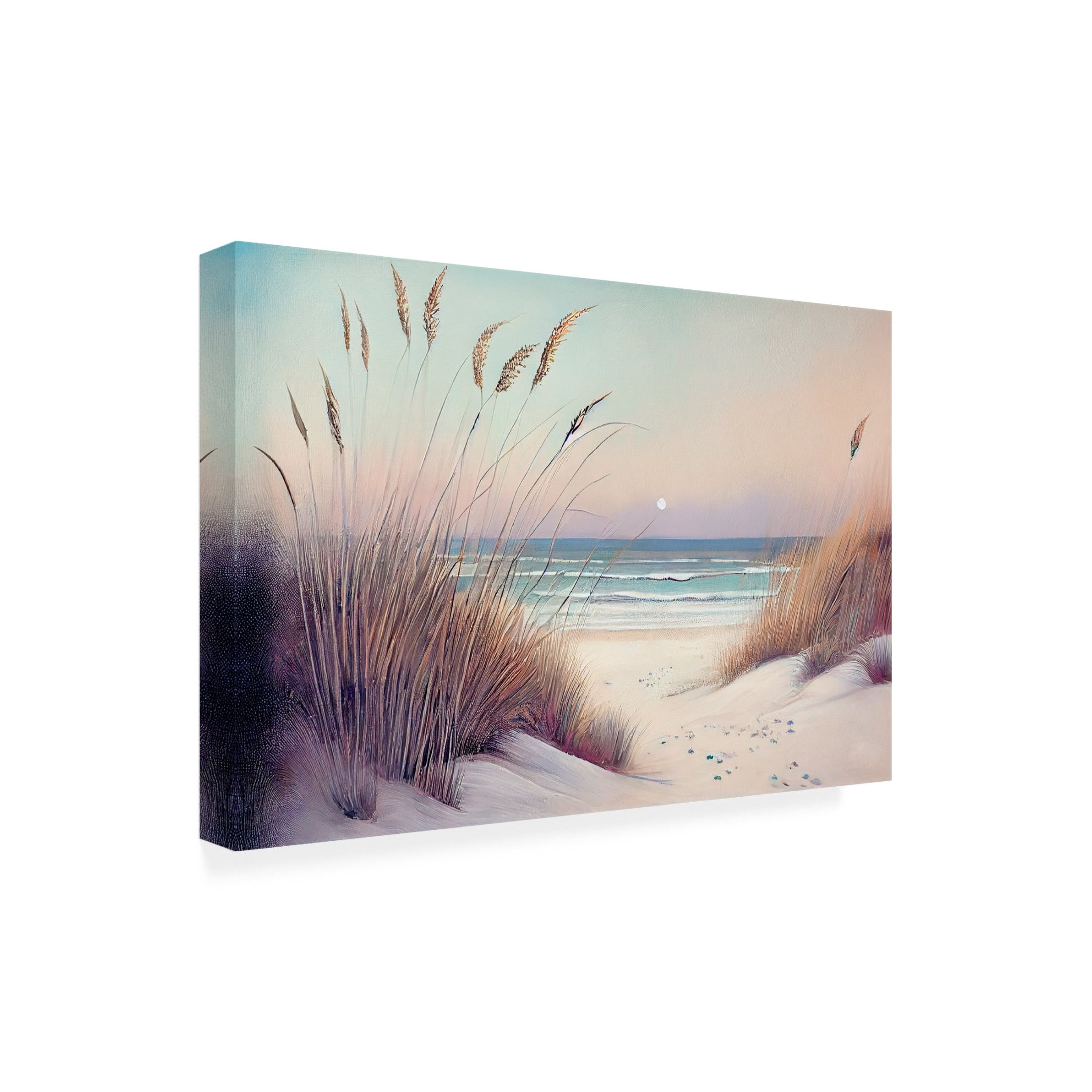Canvas Wall Art - Sasha 'Euphoria III' Wall Art for Living Room, Bedroom, or Office Décor by Trademark Fine Art - 32 x 22 Inches