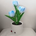 thumbnail image 1 of Luces Nocturnas Lámpara de mesa de lectura segura con luz de escritorio de cabecera de tulipán LED para regalo de San Valentín de boda, 1 of 7