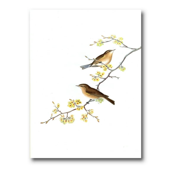 Designart ' Little Birds Sitting On The Tree Branches II ' Traditional Canvas Wall Art Print