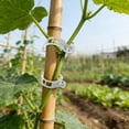 thumbnail image 3 of Support 100Pcs Reusable Garden For Climbing Adjustable Vine For Tomatoes Cucumbers Vines To Grow Garden Cl, 3 of 6
