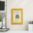 thumbnail image 6 of Printed Embellished Bookplate VIII - Framed Print w/glass - Sunflower Yellow, 6 of 6