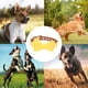 thumbnail image 5 of Collar para perro de lunares, tela linda ajustable para perros pequeños, medianos y grandes, niños y niñas, 5 of 5