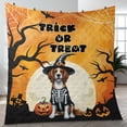 thumbnail image 4 of Trick or Treat Brittany Spaniel Needs Candy Happy Halloween Night Quilt Blanket Brittany Dog Lover Gifts Idea Cozy Comforter Throw Blanket - 02020, 4 of 5