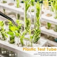 thumbnail image 5 of 100Pcs 12X100mm parent Laboratory Clear Plastic Test Tubes Vials with Push Caps School Lab Supp, 5 of 5