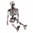 thumbnail image 1 of 6” Posable Skeleton Mini Skull Halloween Decoration  Set of 4, 1 of 9