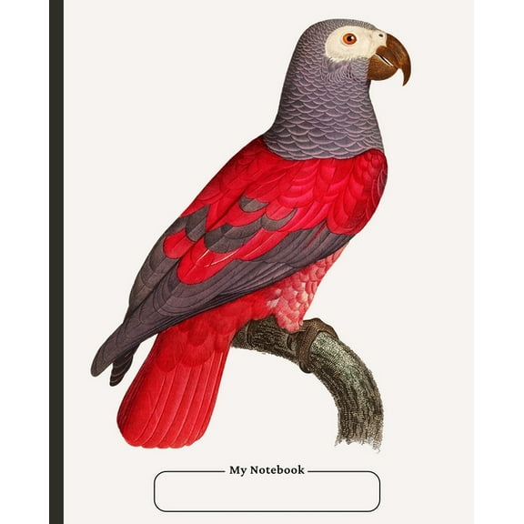 Cornell Notebook, college ruled, with dot grid note-taking area, 100 pages, compact size, with Table of Contents, (Paperback)