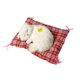 thumbnail image 2 of Simulación de gato durmiendo una prensa llamará adornos de joyería gato de juguete para niños regalo creativo gato de simulación, 2 of 5