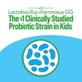 thumbnail image 2 of Suplemento Culturelle Kids Probiotic + Multivitamínico 30% masticable, 2 of 8