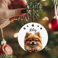 thumbnail image 4 of Personalized Pembroke Welsh Corgi Christmas Ornament 2025 Name Pembroke Welsh Corgi Ornament, Gift for Dog Dad Dog Mom, Pembroke Welsh Corgi Portrait Wearing Glasses Ornament Keepsake qiG8cF, 4 of 6