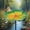Green, variant on Flower Shape Hummingbird Feeder & Bird Bath, 2-in-1 Outdoor Garden Decor for Wild Birds