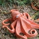thumbnail image 4 of Juego de crecimiento de insectos para niños Zulema 4 piezas naturaleza pulpo juguete, 4 of 8