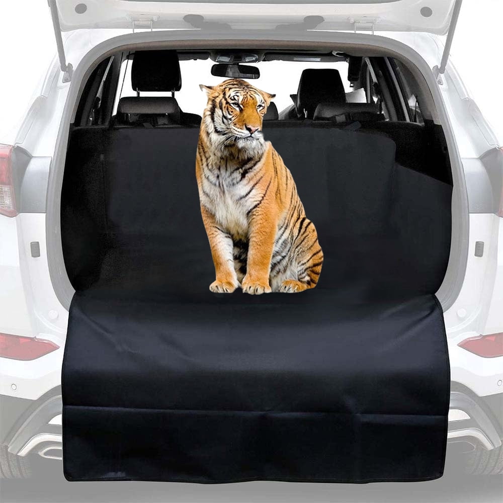 spacious back seat cars spacious back seat cars