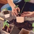 thumbnail image 6 of Seed Starter Kit, 100-Cell Peat Pots with 50 Plant Labels, Biodegradable Pulp Seedling Trays for Gardening, 6 of 8