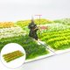thumbnail image 3 of mini hierba de hadas,jardín de hierba de flores en miniatura 1/48 1/72 1/87,modelo de edificios ferroviarios,kit de modelo de construcción,decoración,mechones de hierba estática modelado de, 3 of 8